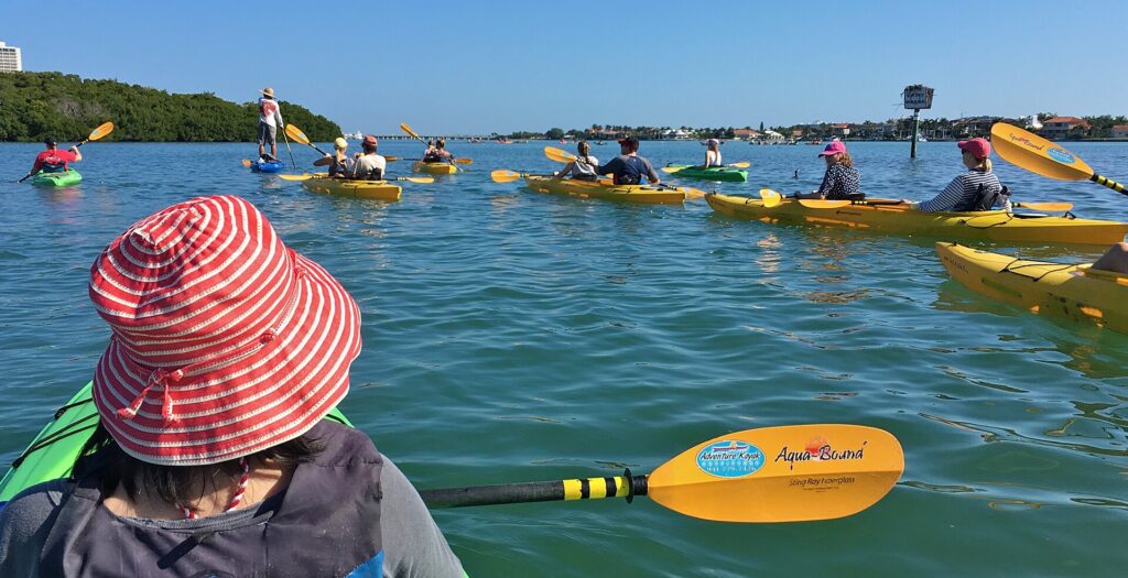 A guided kayak tour on the bay side of Lido Key