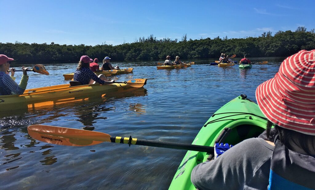 Kayaking through the red mangrove tunnels at South Lido Park